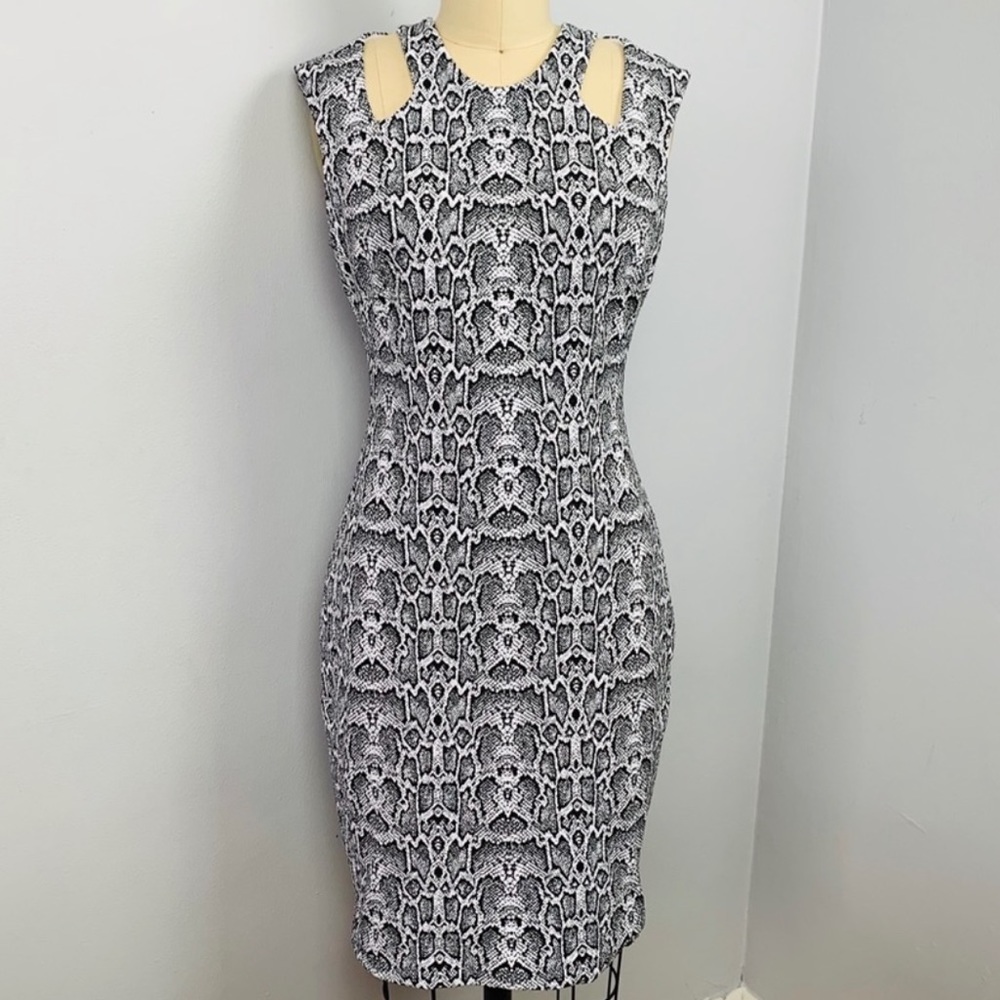 Brand New Cache dress